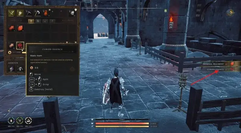 Cursed Essence identified in the inventory after a loot drop