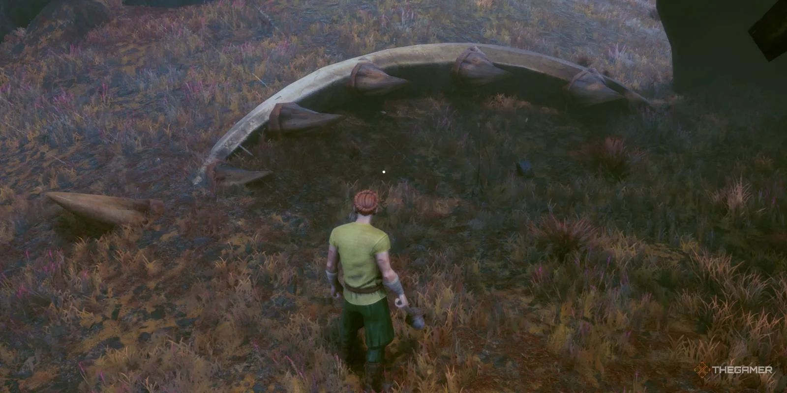 Dragon skull and teeth in Stormtouched Highlands