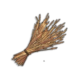 Harvested Wheat sheaf