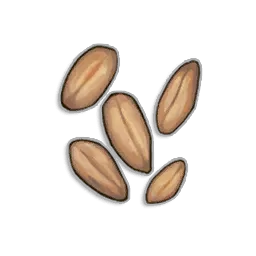 Wheat Seeds inventory item